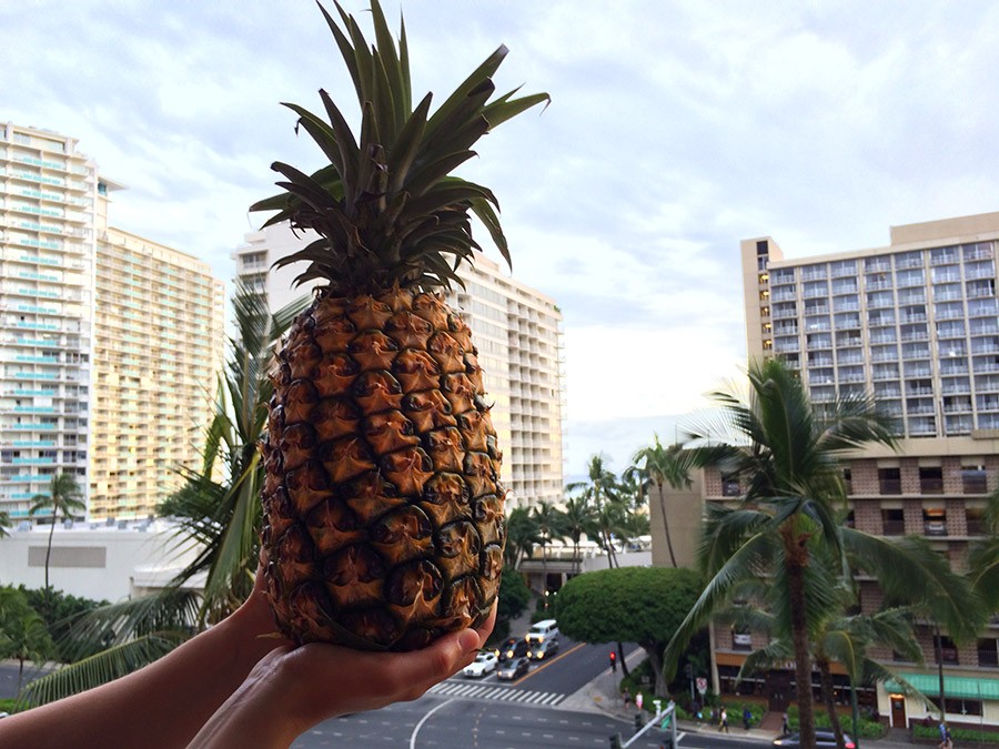 Pineapple with a view