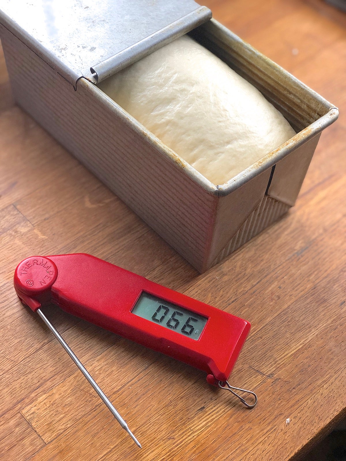 Rising dough in a loaf pan with a thermometer showing air temperature next to the pan.