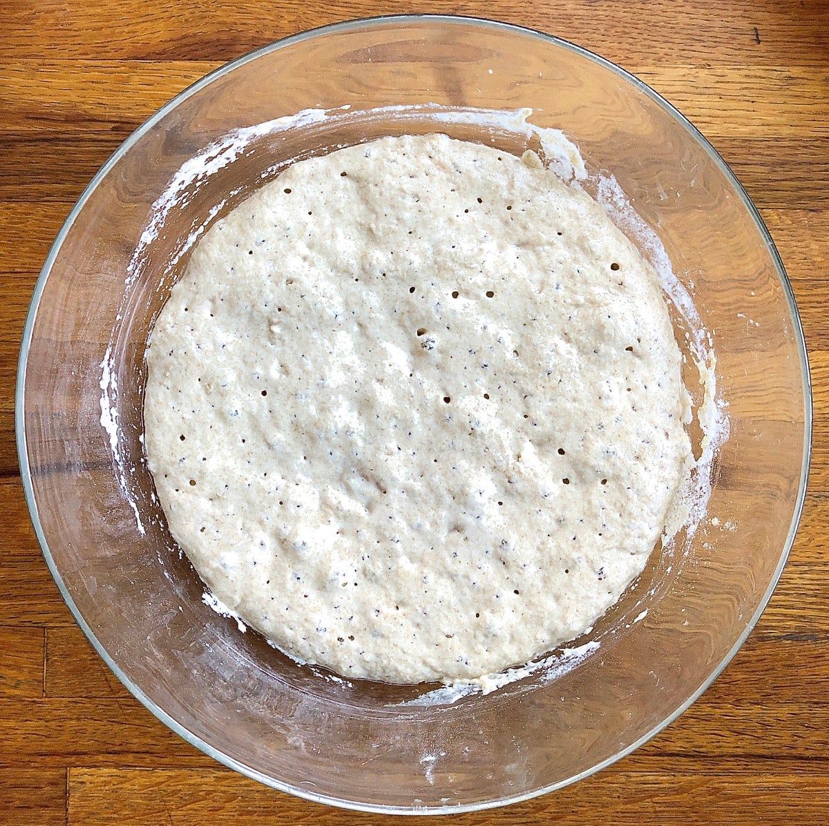 Risen preferment for Greek Olive and Onion Bread