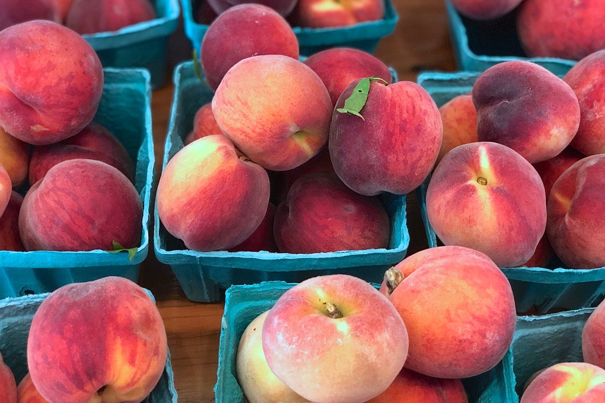 Fresh peaches from Crow Farm in Sandwich, Massachusetts, stacked in baskets and ready to sell.
