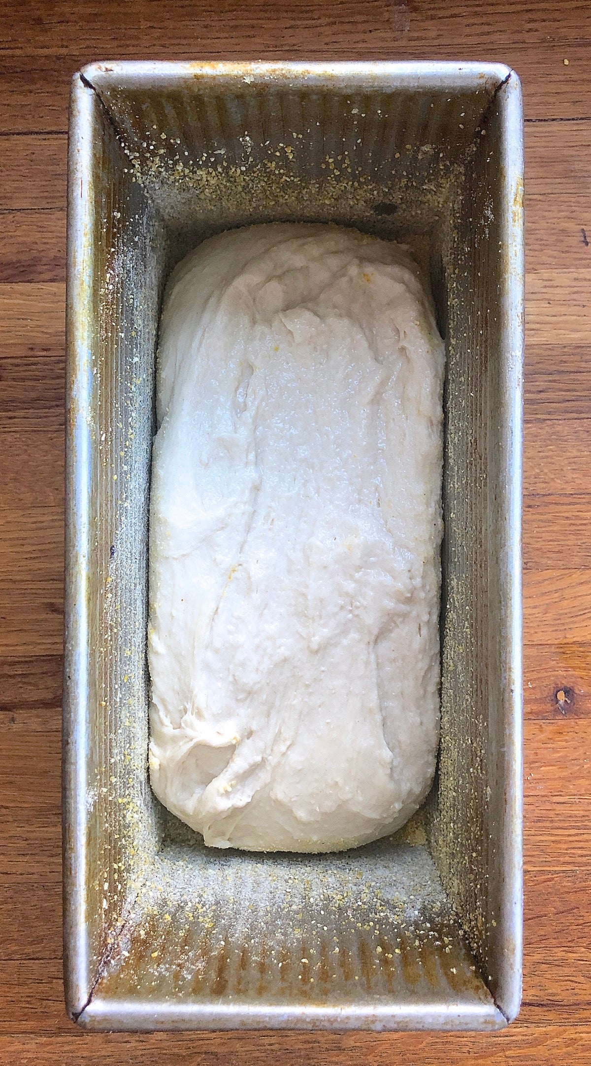 Bread dough spread into a loaf pan, ready to rise.
