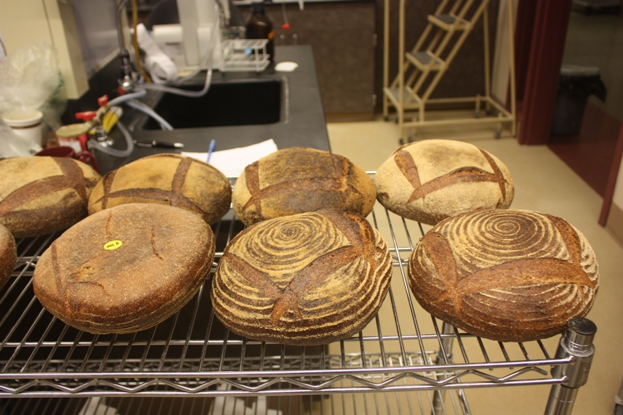 WSU Bread Lab 060