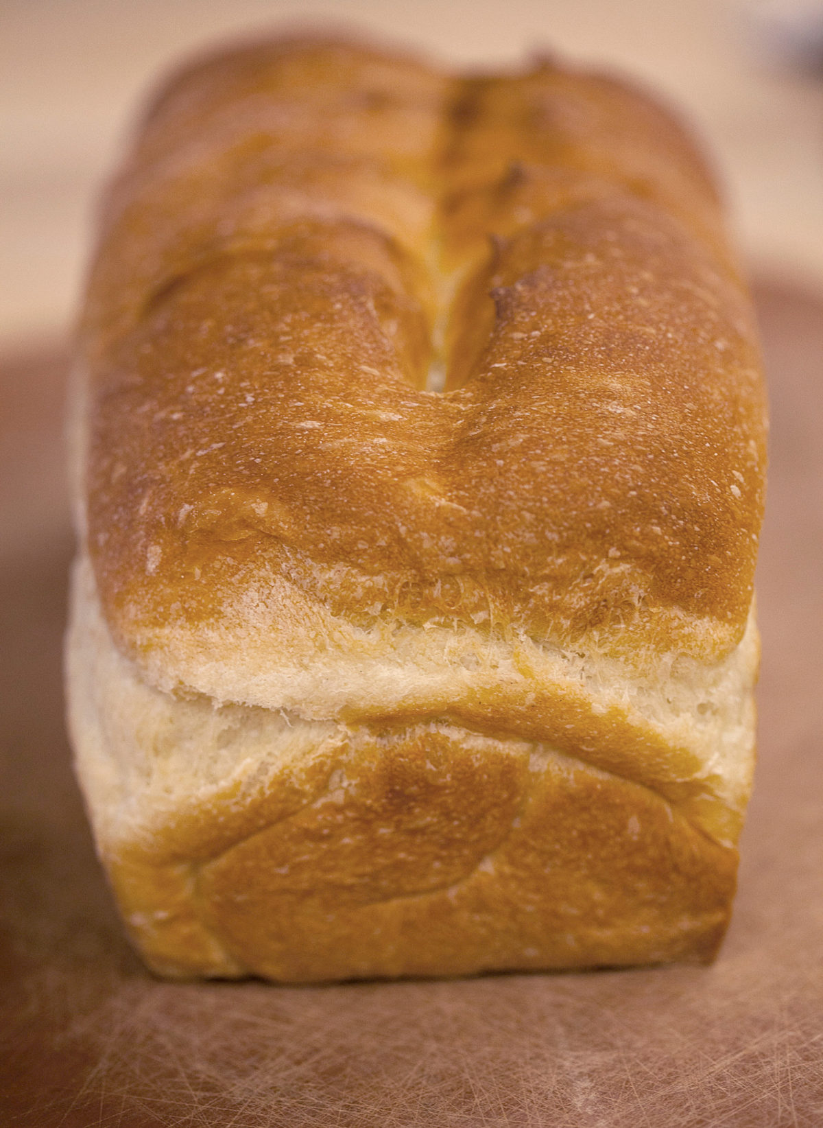 Levain for sandwich bread via @kingarthurflour
