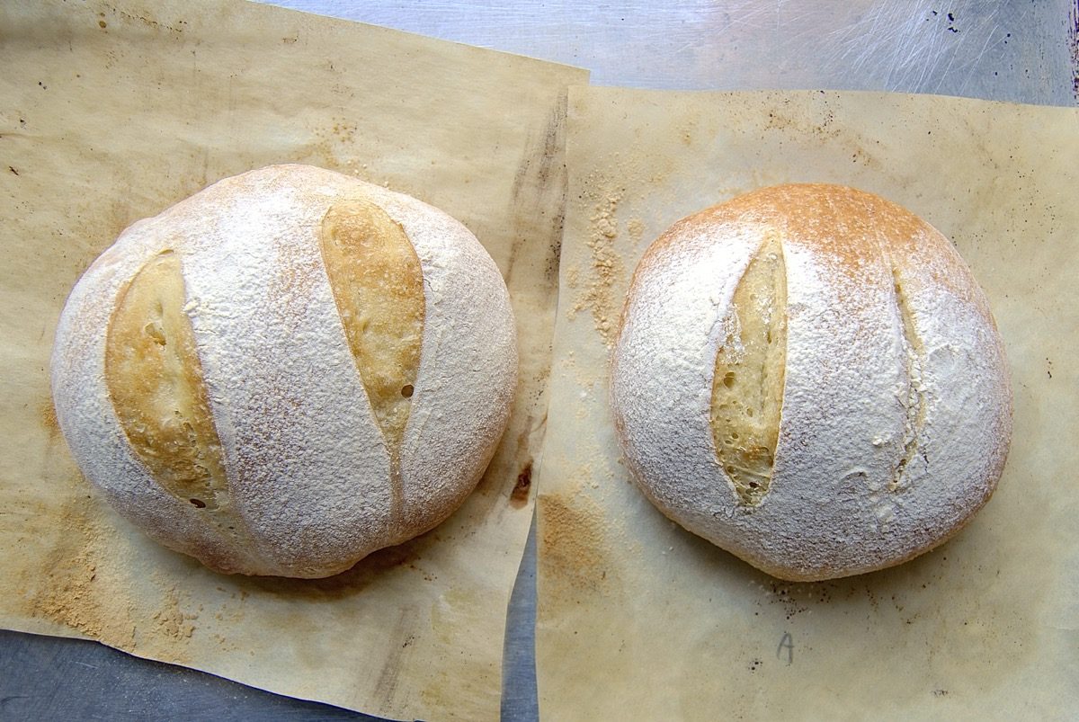 Baking with Almond Flour via @kingarthurflour