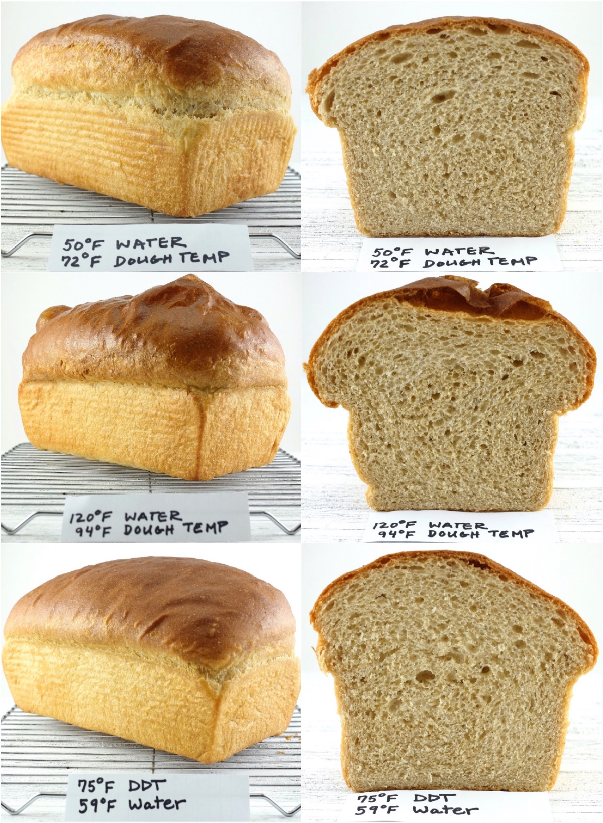 Bread Hydration Chart