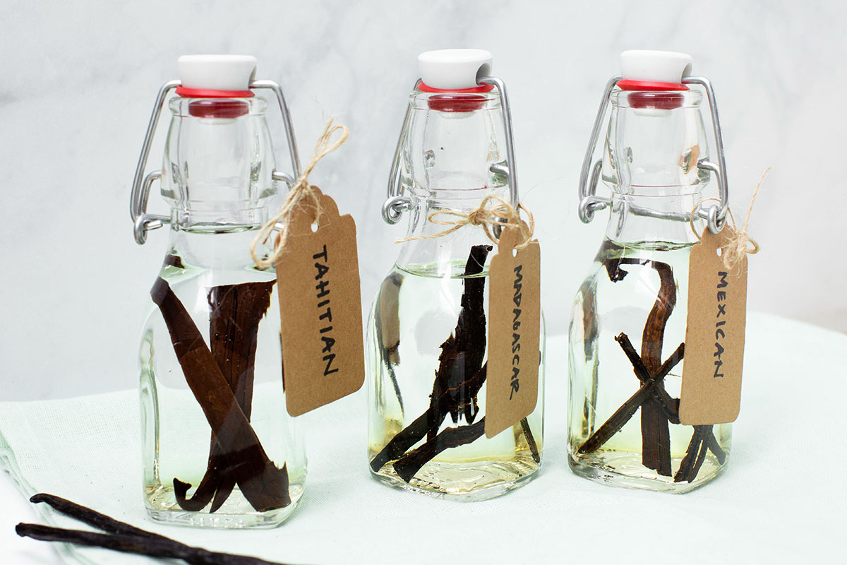 Three jars of homemade vanilla extract, ready to infuse: Tahitian, Madagascar, and Mexican vanilla extract.
