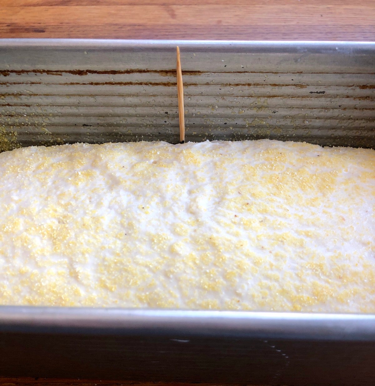 Dough rising in a loaf pan with a marked toothpick showing that it's doubled in size.