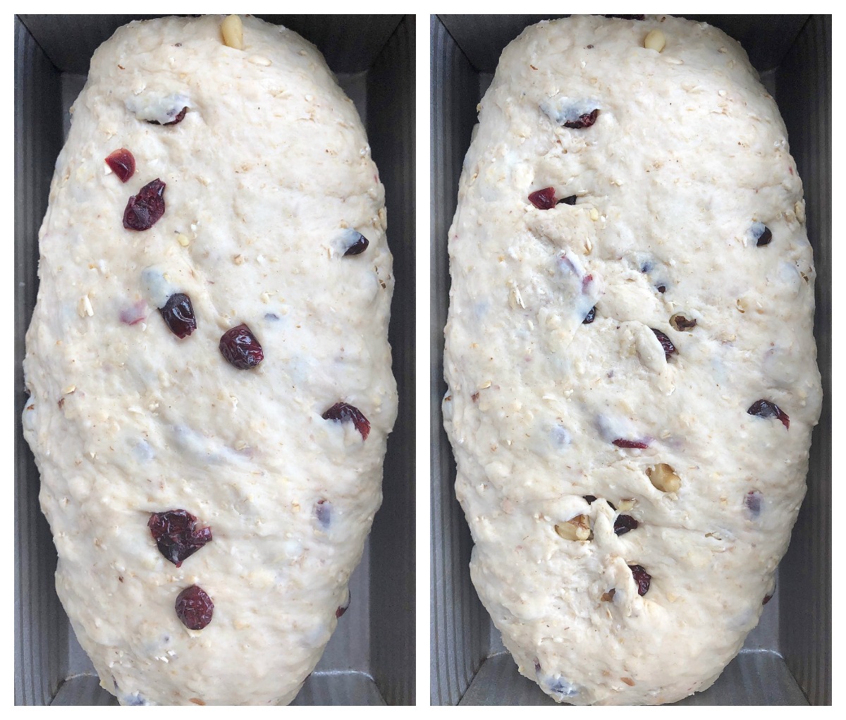 Oatmeal bread dough with cranberries and walnuts showoing how to tuck the fruit and nuts under the surface of the dough so they won't burn