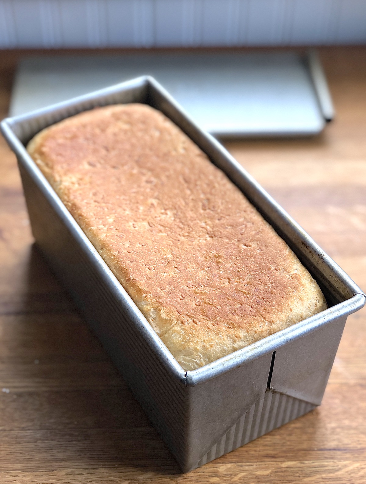 Just-baked oatmeal bread in a pain de mie loaf pan