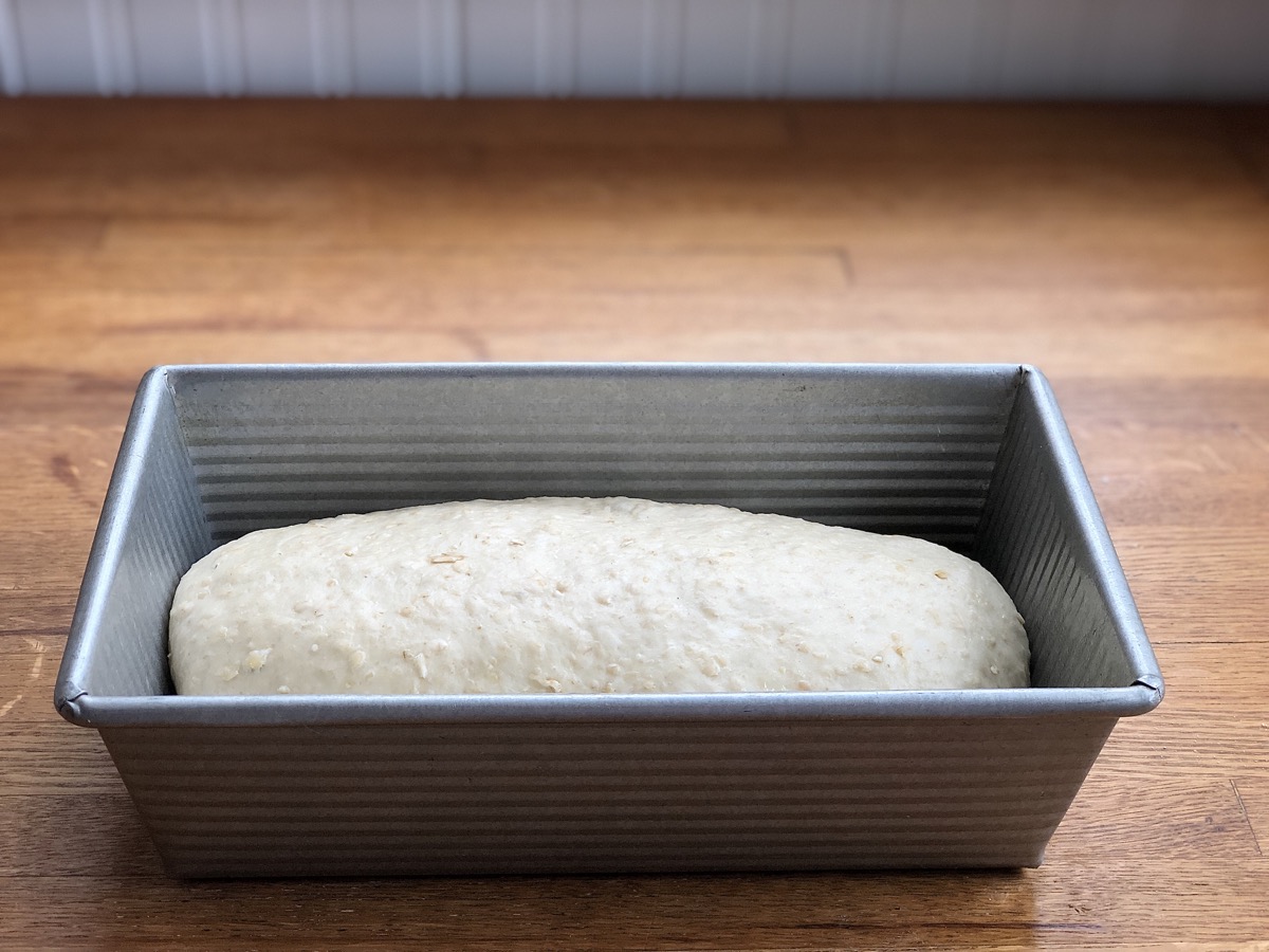 Oatmeal bread dough, shaped and placed into a 9" x 5" pan to rise