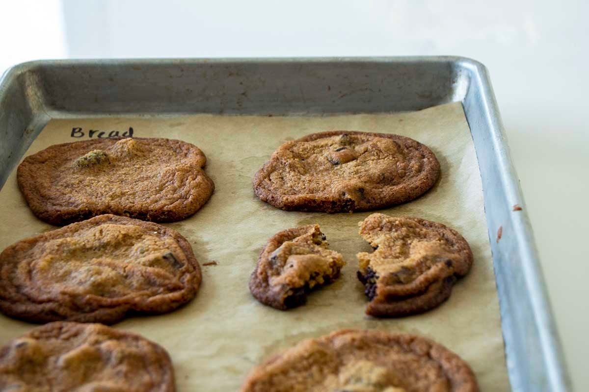 Chocolate chip cookies on a tray, with one cookie broken in half