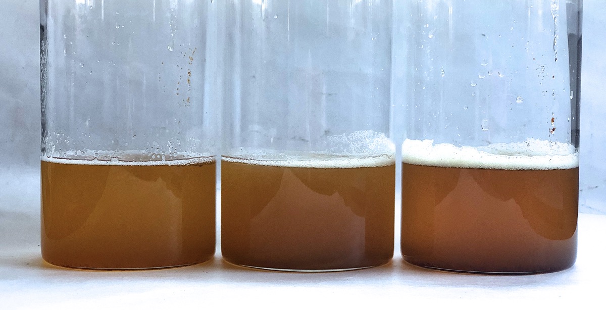 Three clear glass lab jars of liquid brown butter, showing slight differences in color.