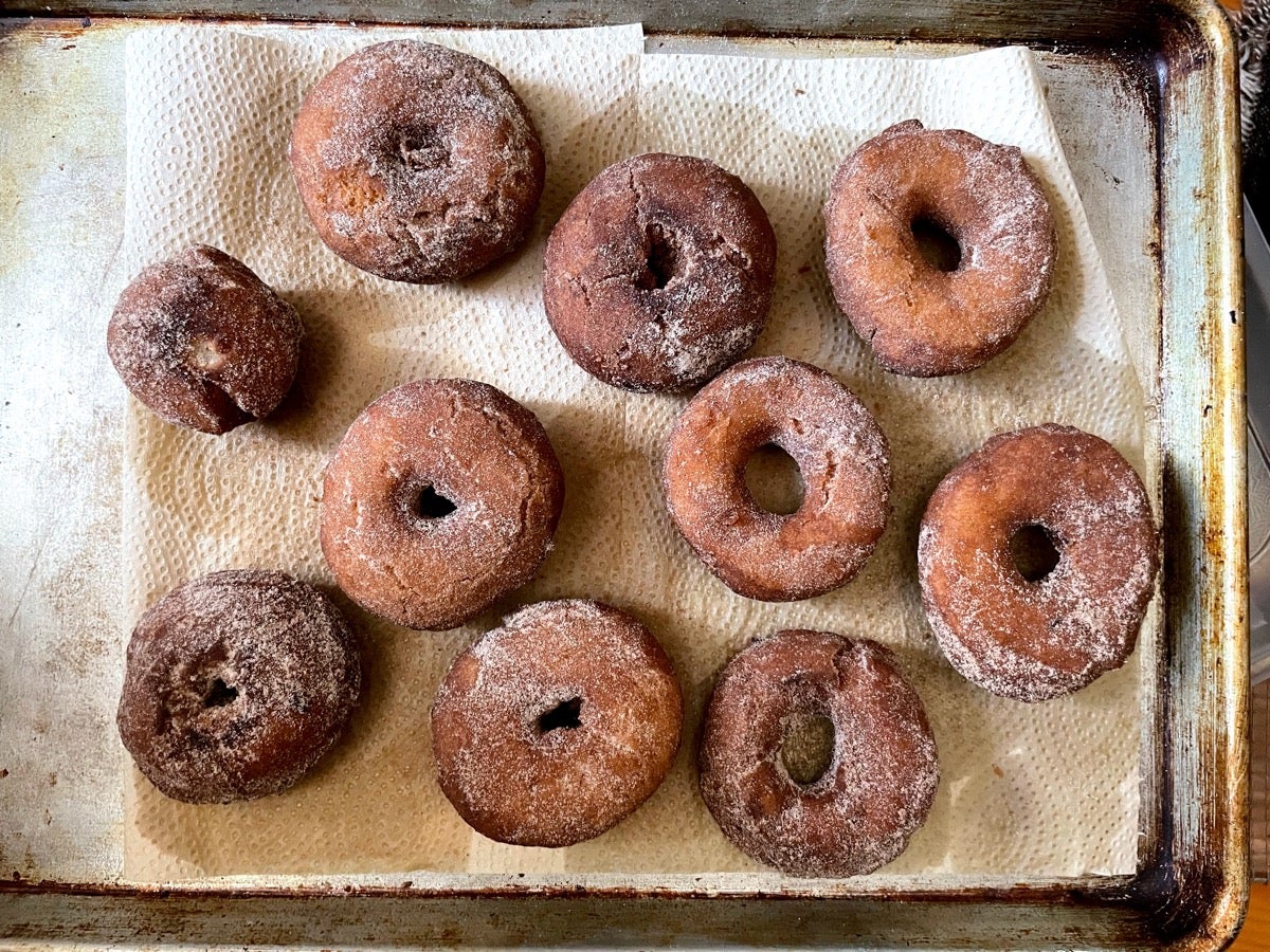 Deep-fried cake-style doughnuts cooling on a paper towel-lined baking sheet.