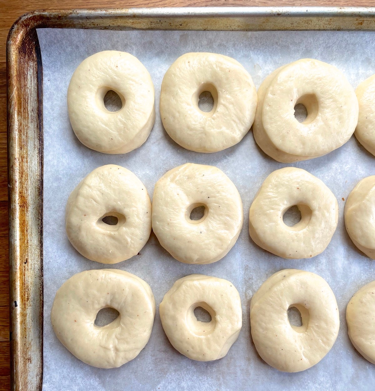Risen yeast doughnuts on a parchment-lined baking sheet, ready to be fried.