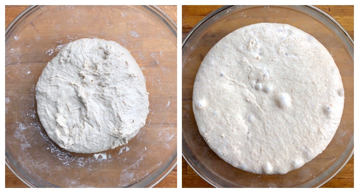Two photos side by side: just-mixed sourdough bread dough, unrisen; and the same dough 16 hours later, doubled in size. 