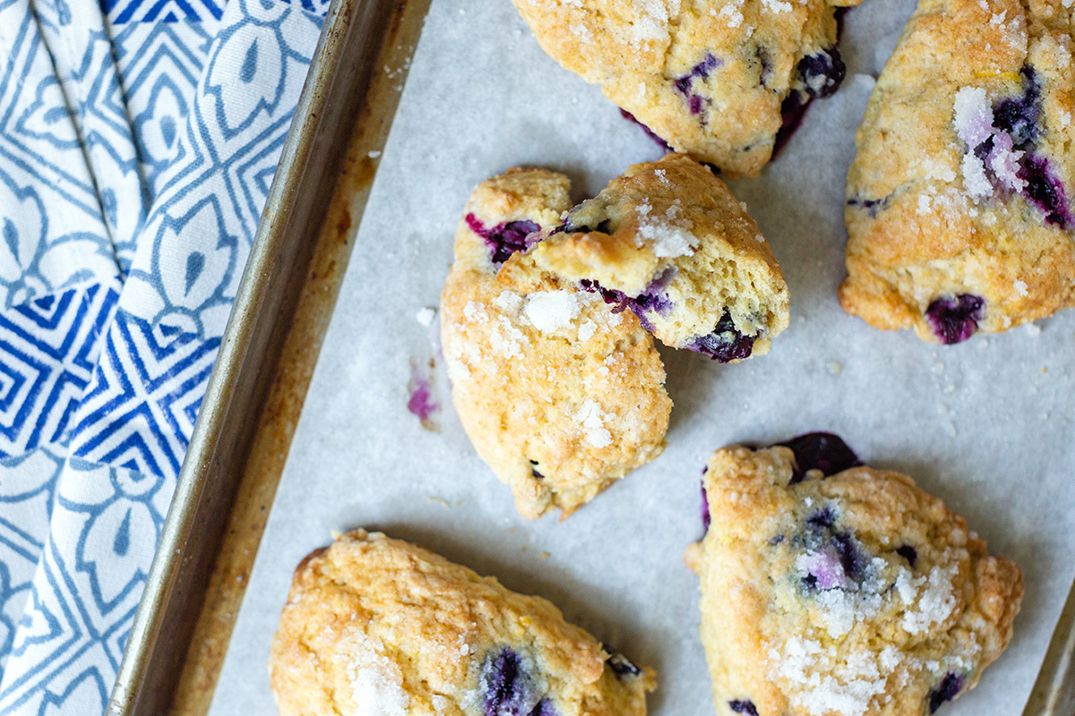 Whole wheat blueberry scones on a baking sheet with one broken open to show the texture
