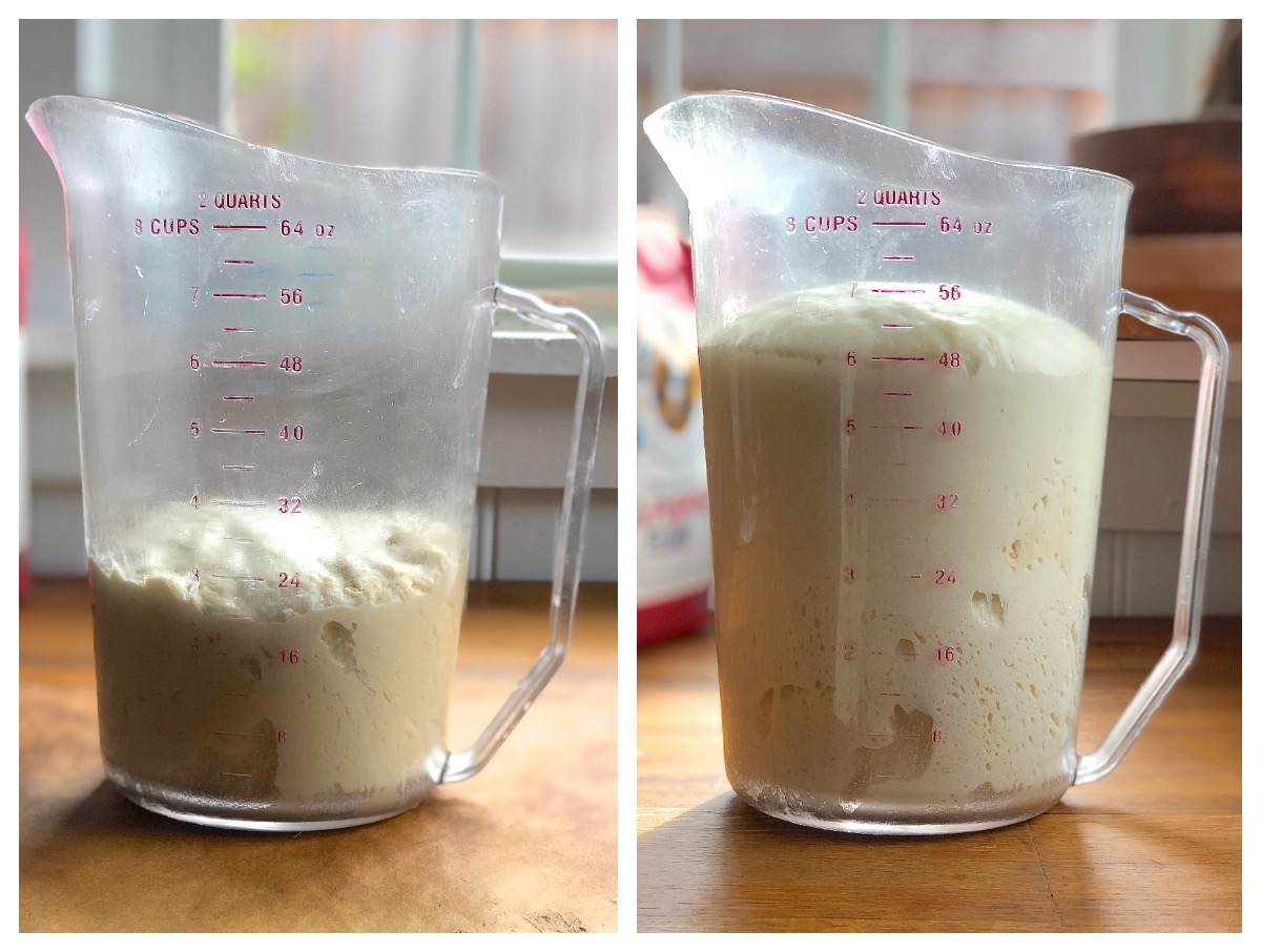 Side by side photos showing an 8-cup measure with bread dough, once at th beginning of the rise, once at the end.