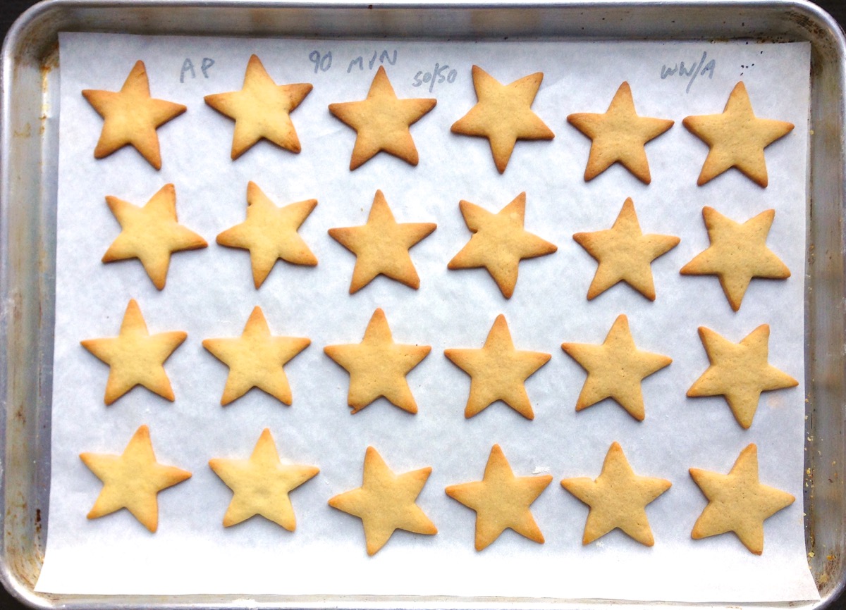 Cutout star cookies showing color differences between 100% white flour and 100% whole wheat flour.