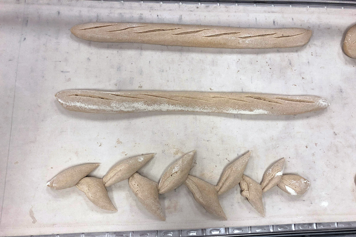 Baguettes ready for the bread oven