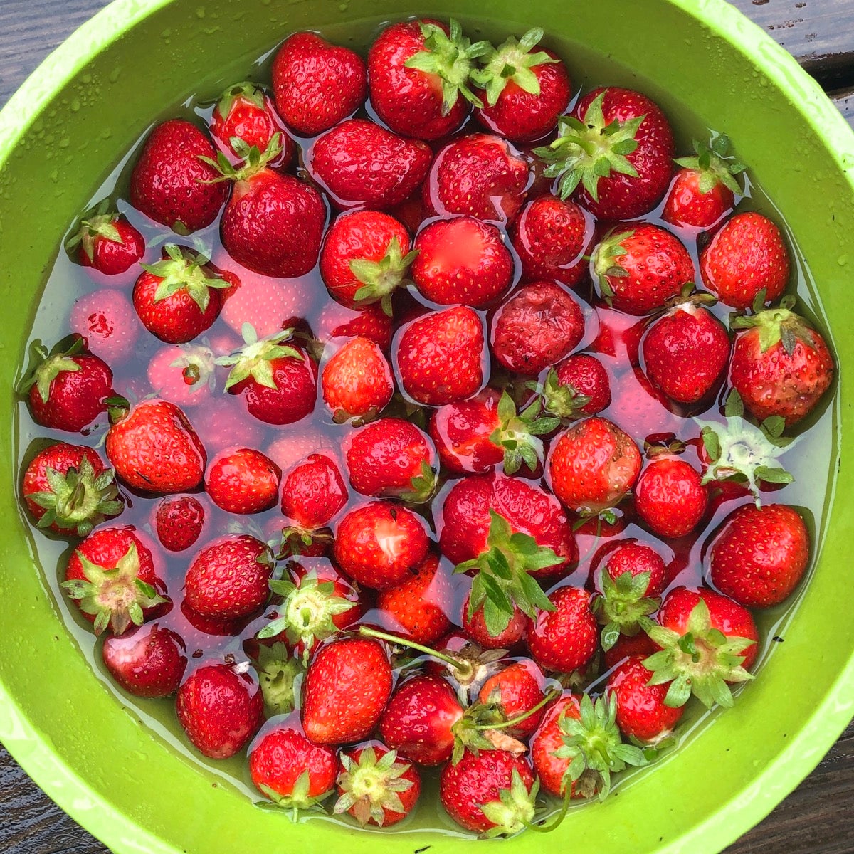 Fresh-picked strawberries soaking in a bowl of cold water with a splash of vinegar.