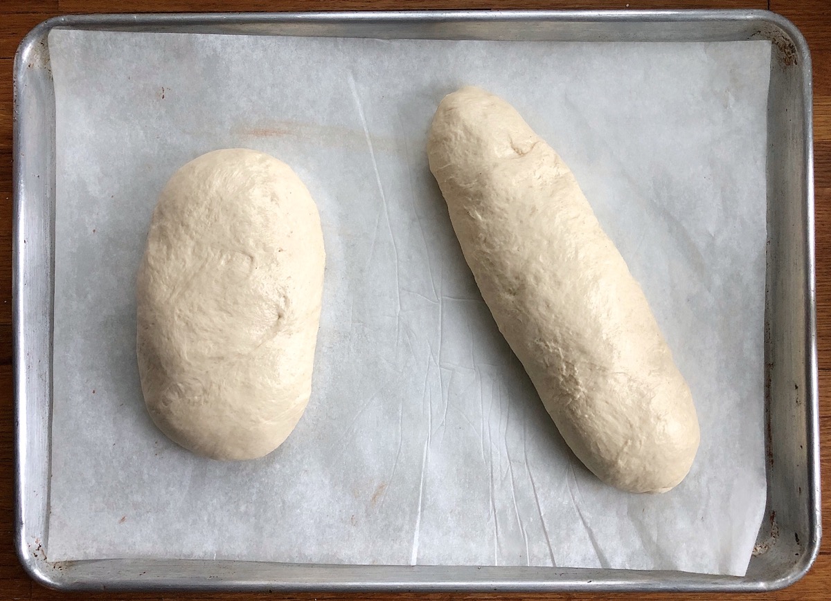 Bread dough shaped into two loaves: a fat oval and a longer loaf.