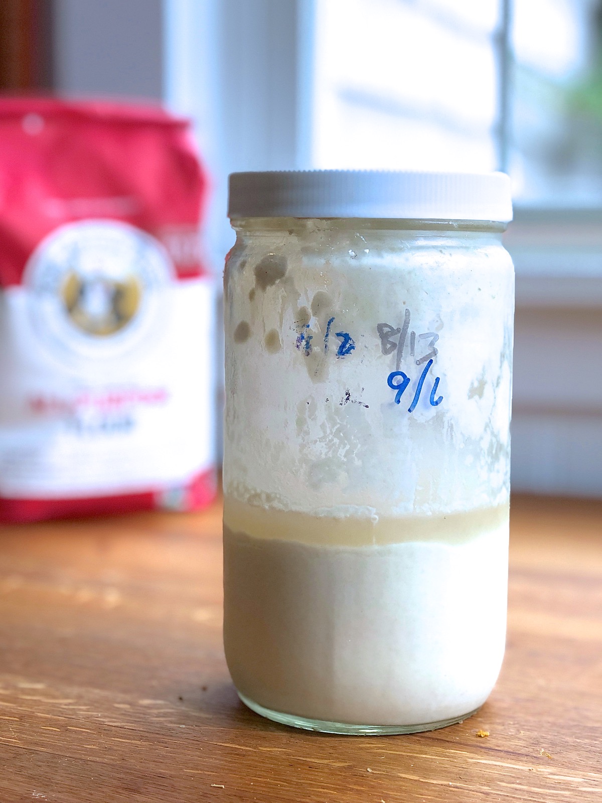 Sourdough starter in a jar, waiting to be fed.