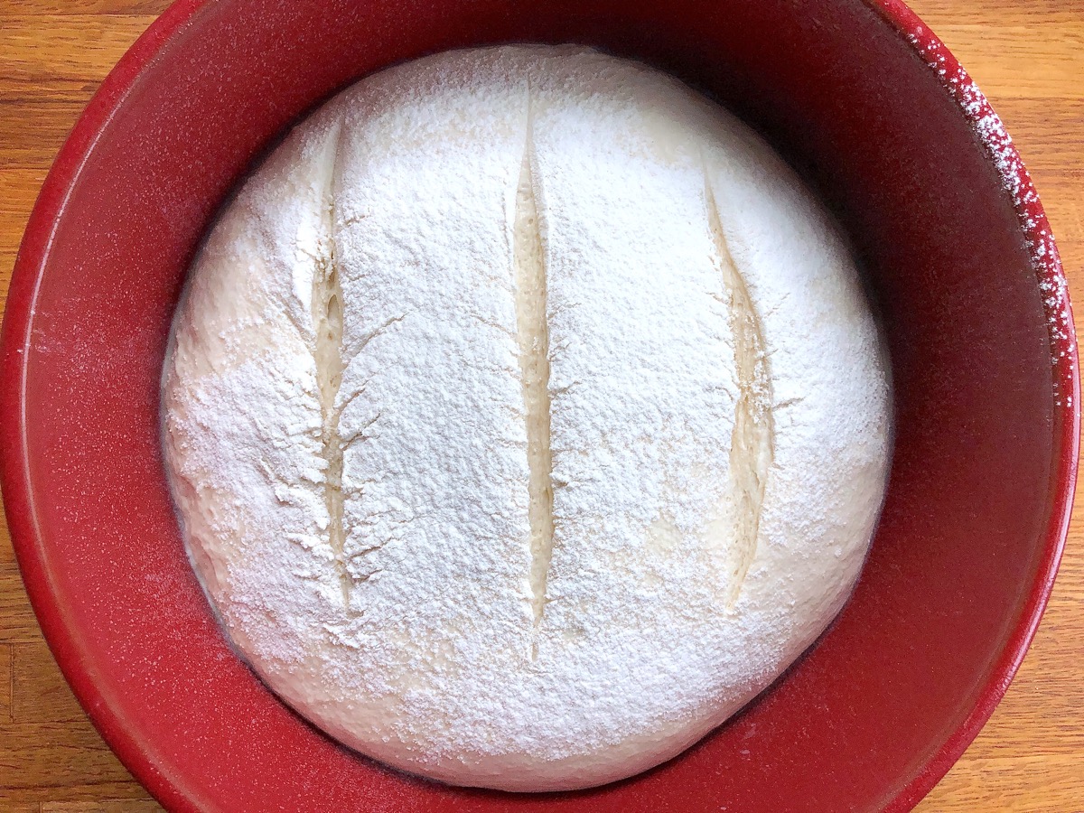 Rustic Sourdough Bread dough in a Dutch oven, slashed and ready to bake.