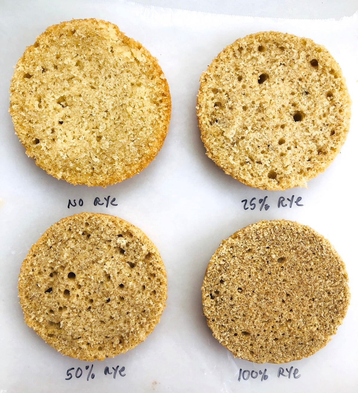 Cross sections of Doughnut Muffins made with three levels of rye flour, plus a control made with al-purpose flour.