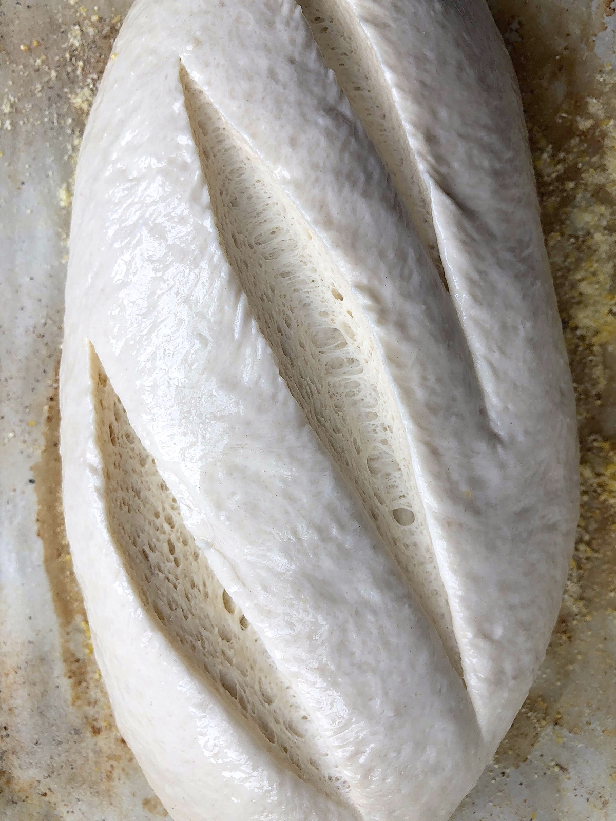 Risen loaf showing a closeup of deep diagonal slashes.