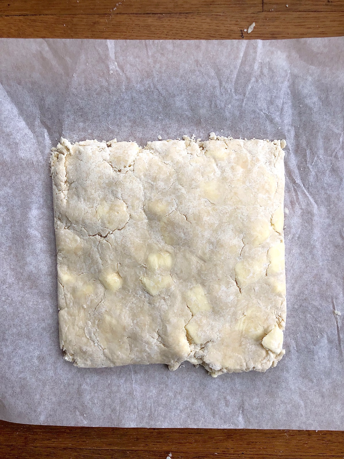 Pie dough pressed into a rough square.