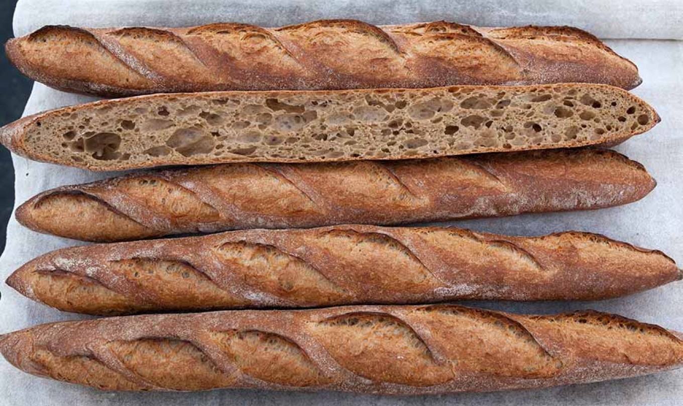Sprouted Wheat Baguette