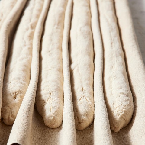 Unbaked baguettes proofing - select to zoom