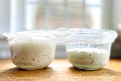 Two bowls of sourdough bread dough rising side by side, one spiked with commercial yeast for a  higher, faster rise.
