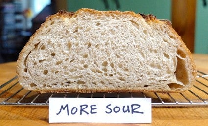 Loaf of sourdough bread made with enhanced sour flavor cut crosswise to show its crumb.