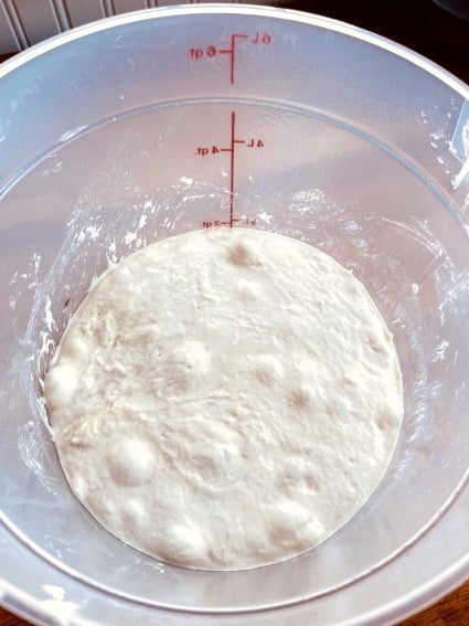 Dough made from sourdough starter rising in a plastic bucket, large bubbles on top