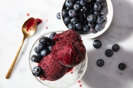 Blueberry Sorbet made with baking sugar alternative 
